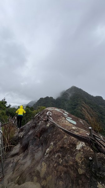 迎新（2026元旦2975589