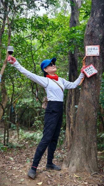 東勢大崙、東勢坑山、觀音湖山O走2986301