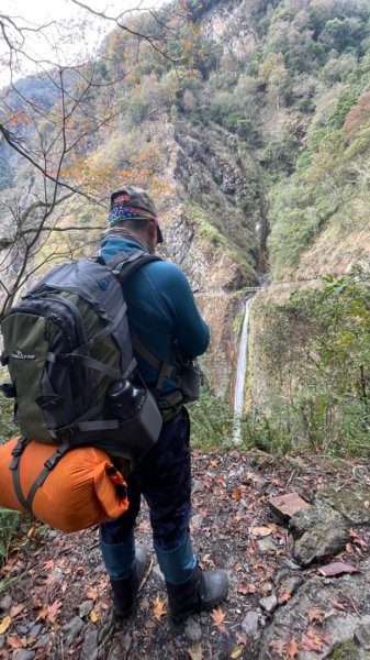 對關追龍貓🚌1970011