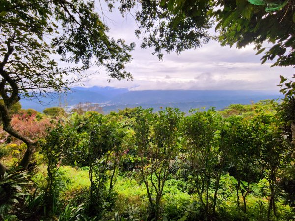 小百岳集起來-鳶山2181122