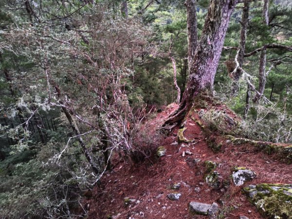 北一段(05/14)南湖南峰 2025_0906~132886481