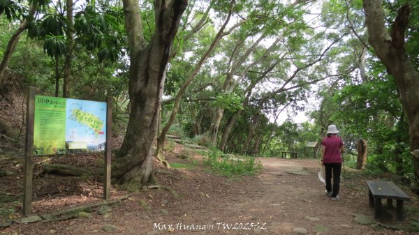 《彰化》稜線雙龍｜田中森林登山步道O型202506292824358