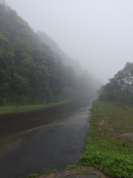 20260327茶壺山3024509