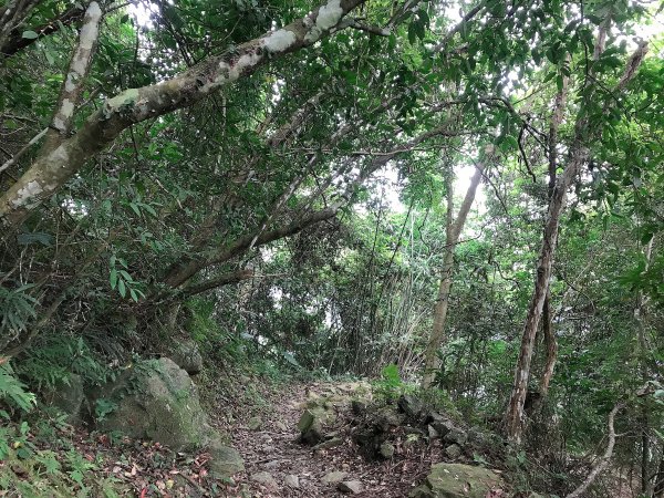 ~ 太魯閣台地→得卡倫步道→大禮部落 ~1455678