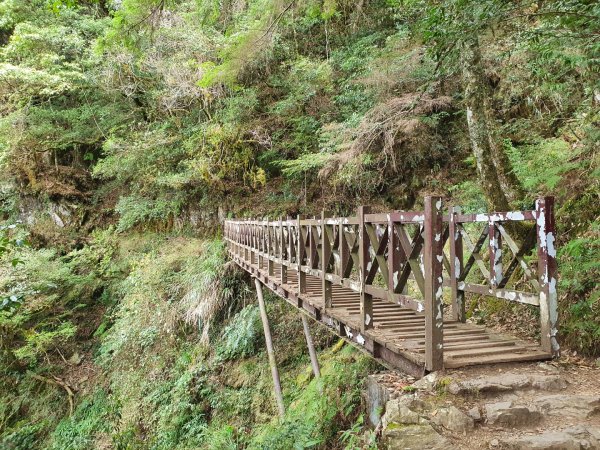 中之關、天池步道1265438