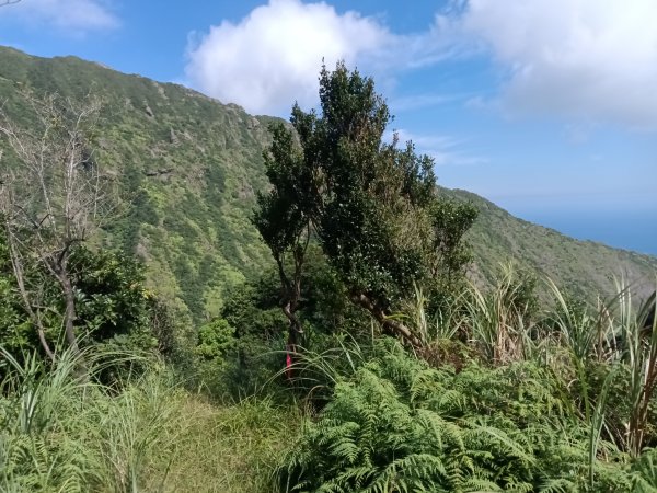 瑞芳區驚險驚嚇+短暫迷途的半屏大瀑布(瀑布稜)+小錐麓古道2886048