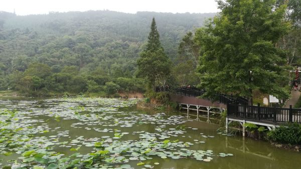 20180603南庄向天湖環湖步道346495