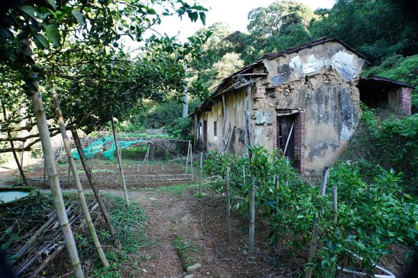 新竹 新埔 犁頭山、吧哩國山、石頭坑山2936773