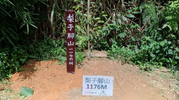 馬鞍山+梨子腳山355851
