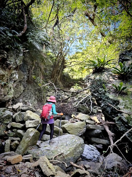 女仍山+帽子山O繞 202602273009553