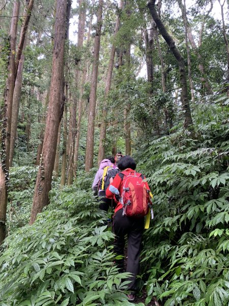20251220嘉義凸龜山-芙蓉山-天福山2973799