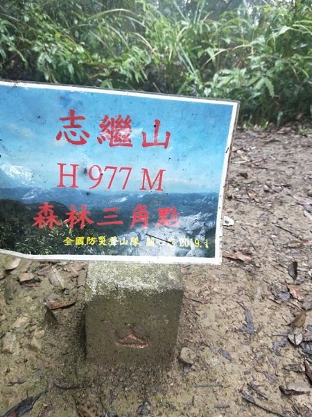 202009 快閃志繼山，橢圓葉杜鵑蘭1110785