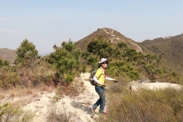 HK - 青山復地1482584