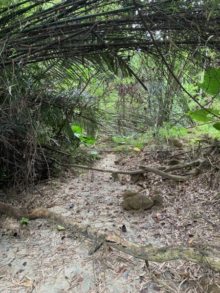 20251024台南東西崙山2925619