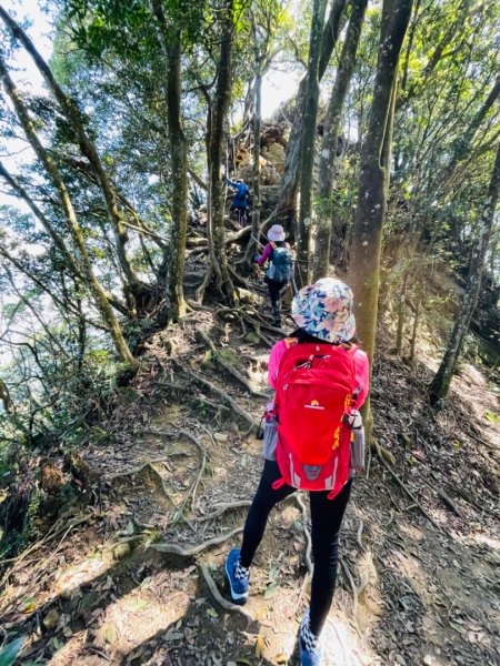 1140319仙山-仙山南峰2738236