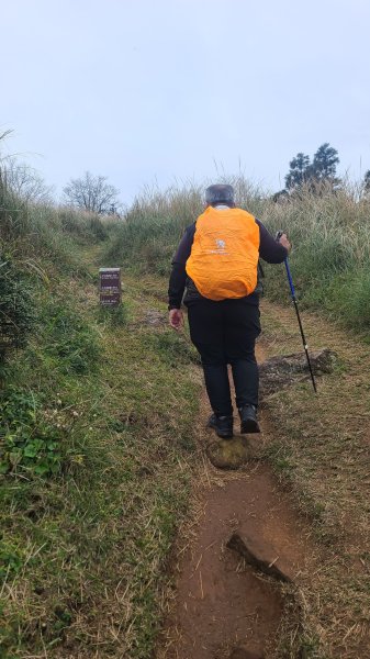 2026-0116 大屯三山_貴子坑_北投2984722