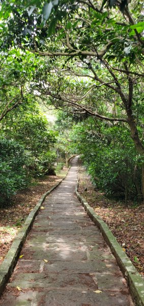 2024-06-15觀音山【福隆山、尖山(占山)登山步道】O走2528229