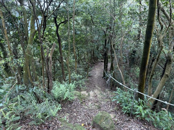 [微笑山線_第四段] 2026_0321 天上山系_石門內尖山3022048