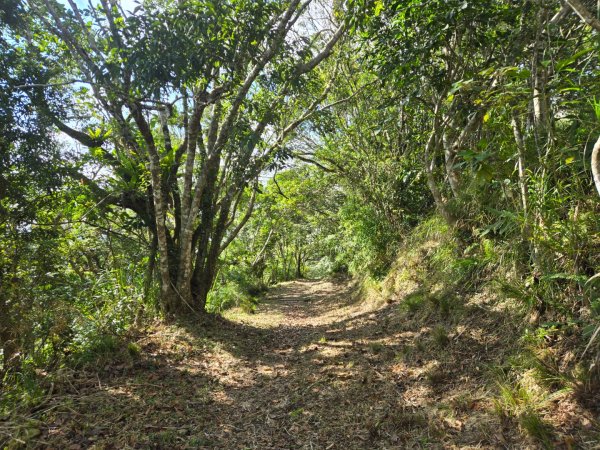 月眉山（小百岳）封面