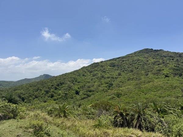 78赤牛嶺大山母山3083578