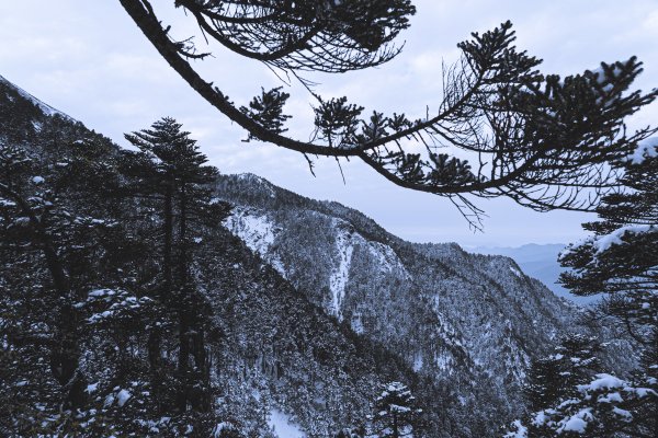 Mt.Jade -玉山冬雪915265