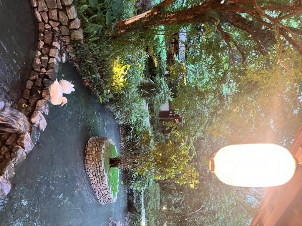 20250427_跑馬古道2855839