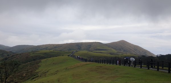 環擎天崗、冷擎步道2009895