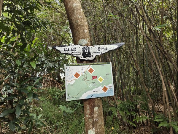 [百山百鳥尋旅-10/15] 2025_0920 溪洲山步道(福山巖登山步道)2893125