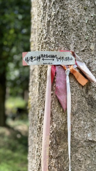20251025 小百岳竹子尖山及刣牛湖山2925056