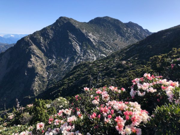 202505八大秀2874049