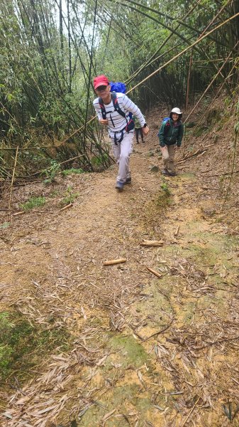 2025-01232淡蘭古道北二段(燦光寮古道到澳底)2696638