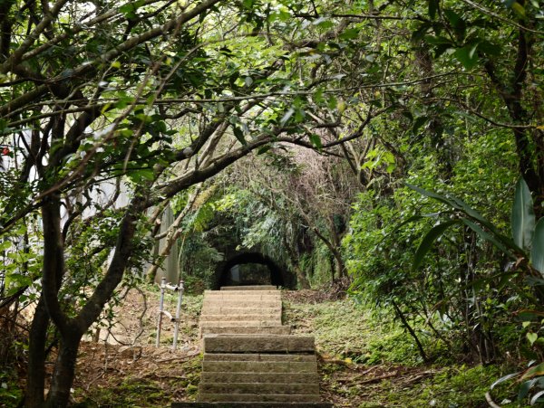 [淡蘭古道] 2026_0531 北路第一段_琉榔路步道3070569