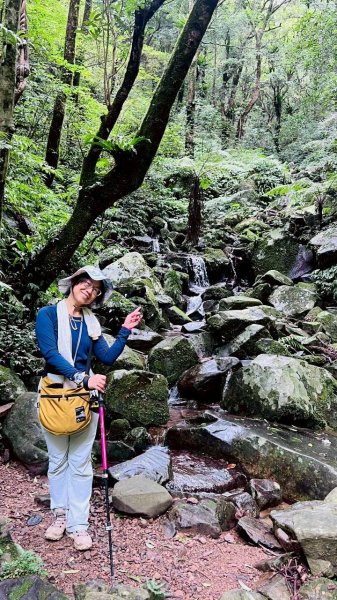 🌈7/5（日）東滿縱走（東眼山~滿月圓）FB：熊熊趴爬走(富裕登山社)🌈3082866