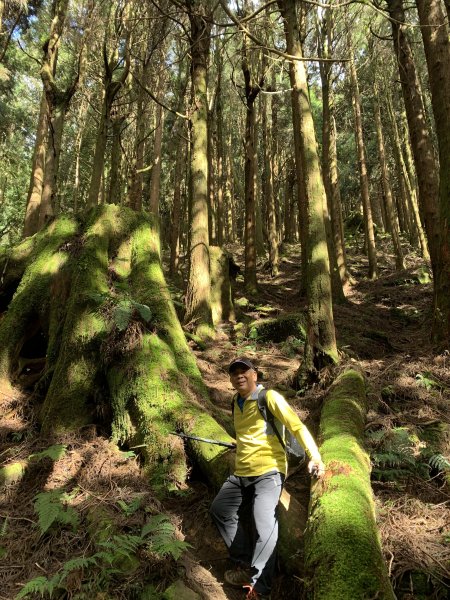 20250517義義兒玉山-東水山2791715