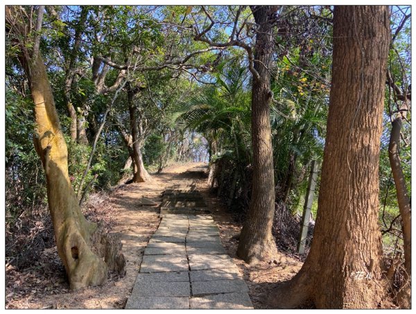 老崎古道、老崎坪頂山 (頭份)2737153