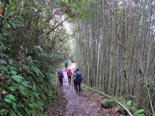 大禮大同部落 千里眼山 砂卡噹步道1295372