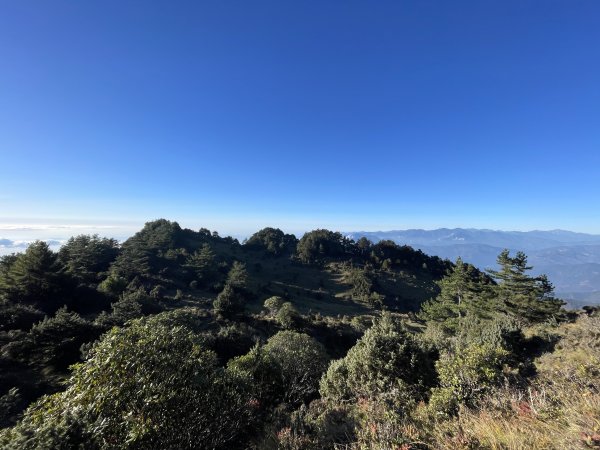 干卓萬橫斷 2024 11/29 四天三夜2865573