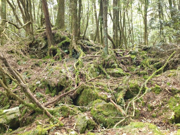 永安山、百志興保山1679599