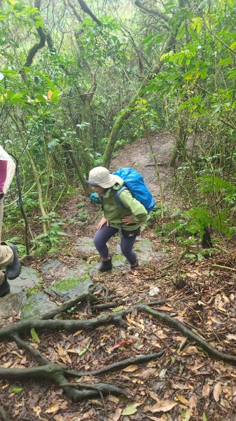 2025-01232淡蘭古道北二段(燦光寮古道到澳底)2696597