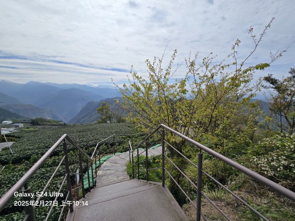 2025-02-27二延平步道2725414