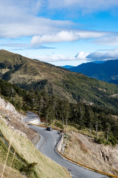 合歡北峰-圓柏的視野466864