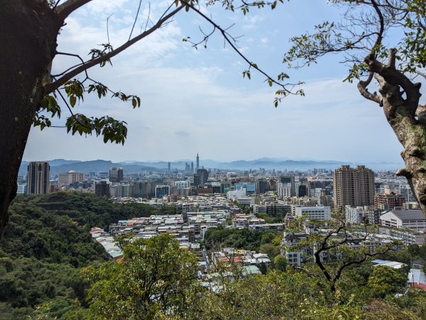 2024-03-31 金面山親山步道、剪刀石、象山親山步道2793308