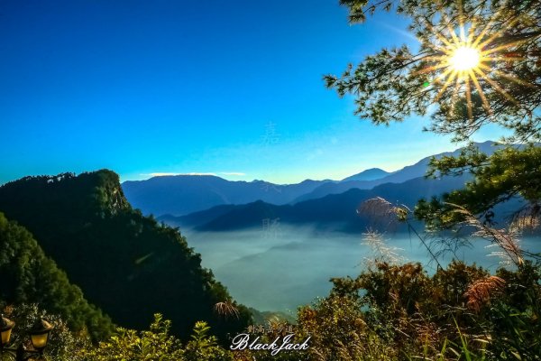 阿里山半日遊428994