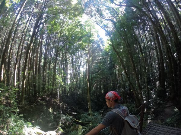 2018/8/11 加里山之旅390399