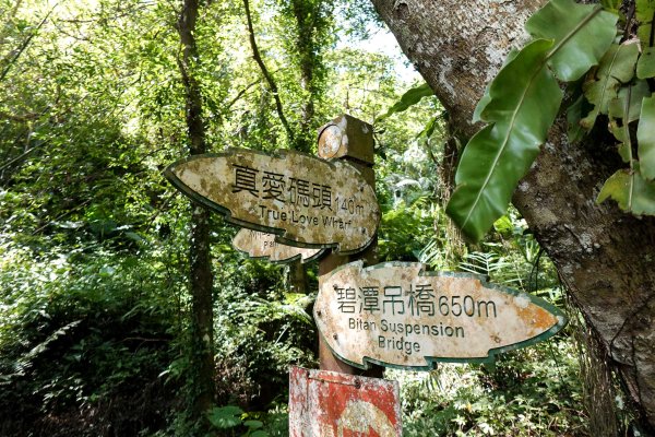 和美山｜新店碧潭步道2892089