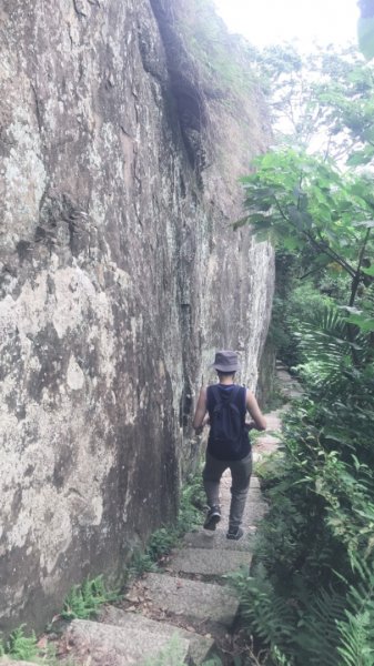 20190608新店獅頭山步道612419