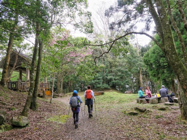 東眼山 拉卡山 卡外山 O形環走1630318