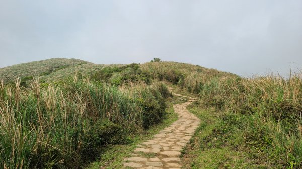 擎天崗(竹篙山)狗殷勤到故宮
