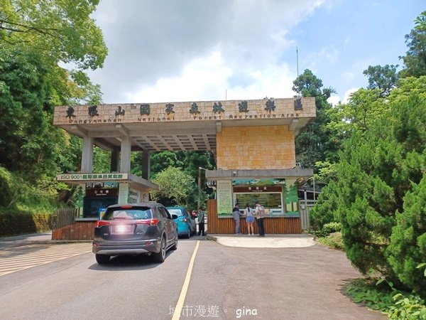 【桃園復興】台灣百大必訪步道。 東眼山森林遊樂區-東眼山自導式步道2835910