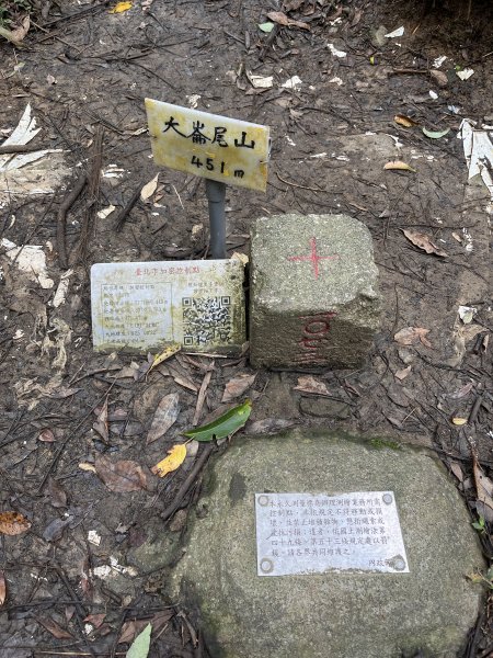 大崙頭尾山1951099